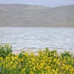 واگذاری 20 ساله مناطق پیرامونی سدهای استان اردبیل