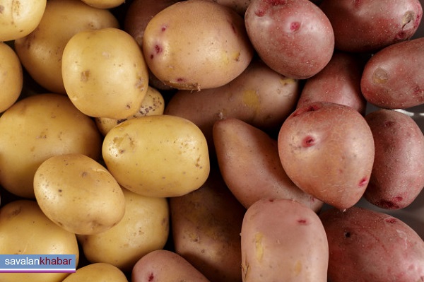 خطرات خوردن سیب زمینی جوانه زده