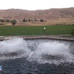 استخر پرورش میگو