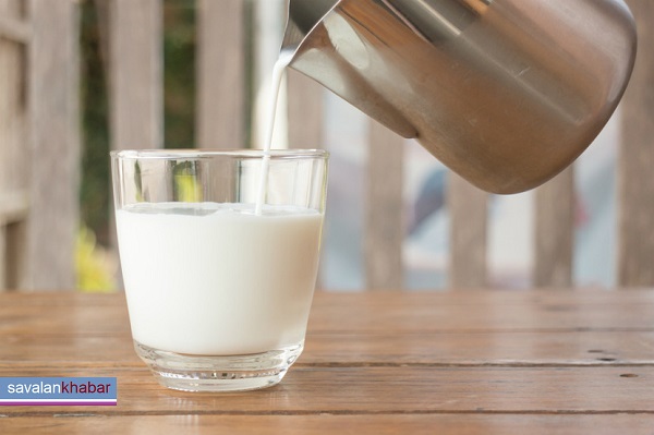 اسدالله محسن زاده:افزایش تولید شیر در کشت و صنعت مغان