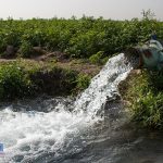 مصرف۹۰ درصد از منابع آب کشور در بخش کشاورزی