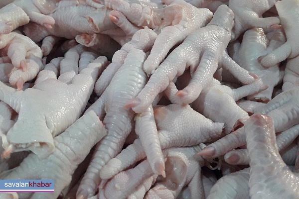 پای مرغ