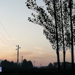 آمادگی همه جانبه اکیپ های عملیاتی اردبیل در پی بارش تندباد