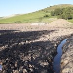 ممنوعیت سوزاندن بقایای گیاهی در اردبیل