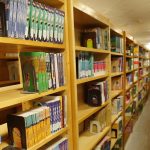 نقش ژاپن در توسعهٔ علم و فناوری نانو