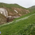 پوشش گیاهی مراتع ییلاقی