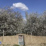 تهیه طرح هادی برای یک‌هزار  روستا در اردبیل