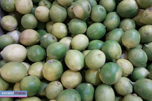  لیموترش