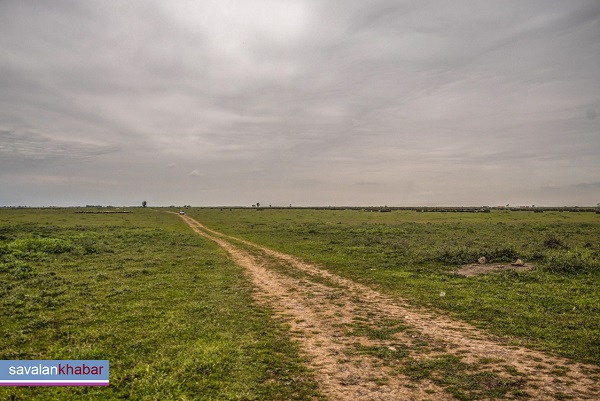 تخریب مرتع Destruction of pasture
