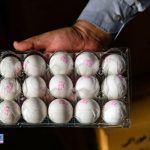 تخم مرغ بسته بندی شده