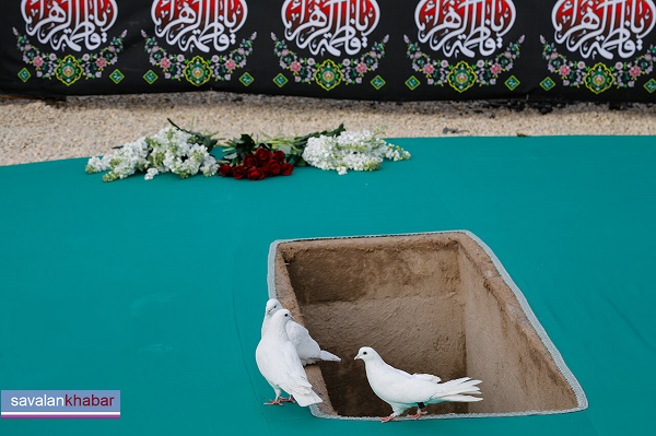 کبوتر در کنار مزار شهید
Dove next to the martyr's grave